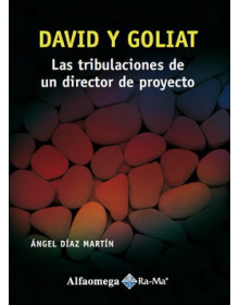 David y goliat - las tribulaciones de un director de proyecto